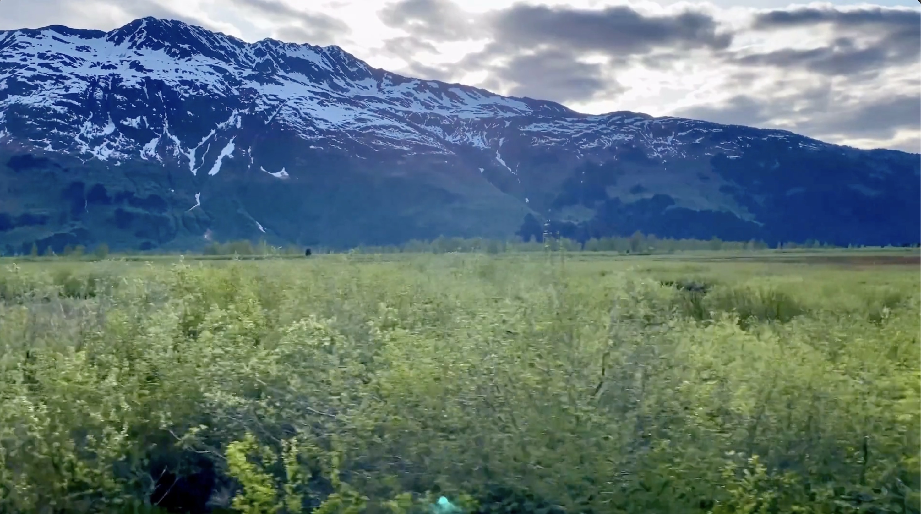 A scenic train ride through the stunning Kenai Peninsula in Alaska, showcasing majestic mountains, lush forests, and pristine rivers, all viewed from the comfort of the Alaska Railroad.