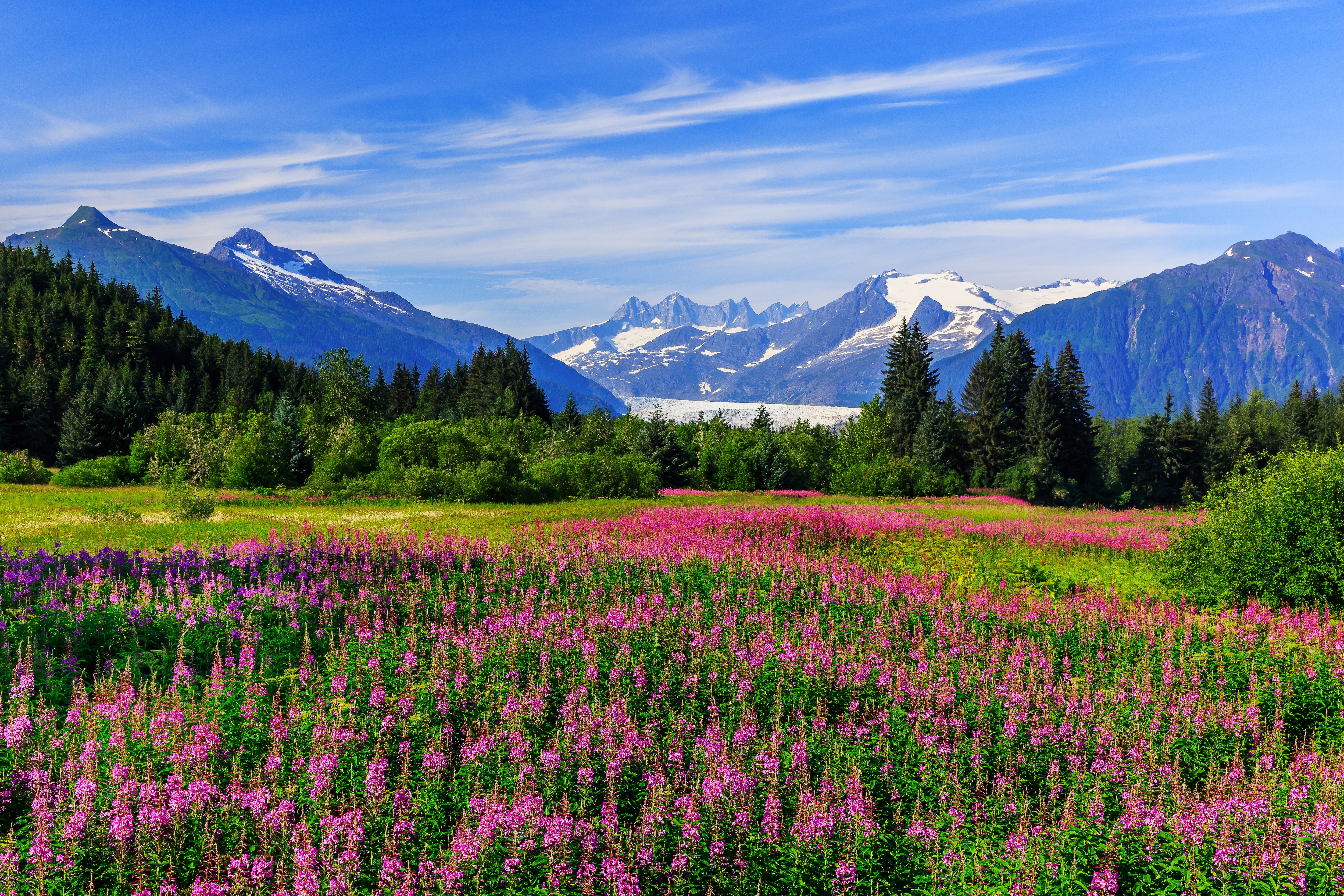 Mendenhall glacier